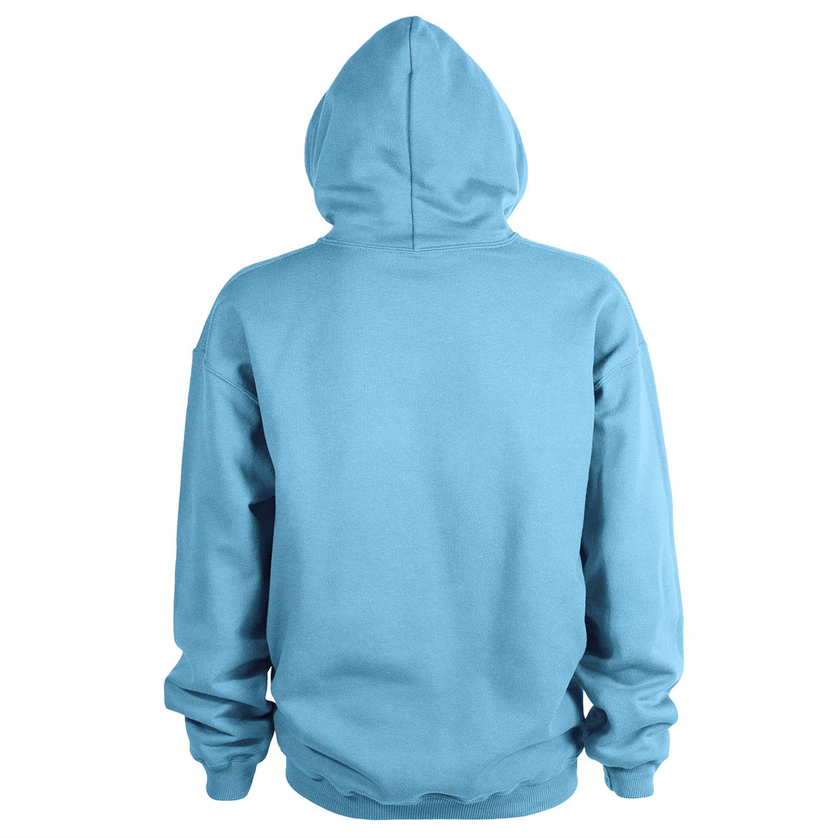 Huvtröja Softstyle Ljusblå